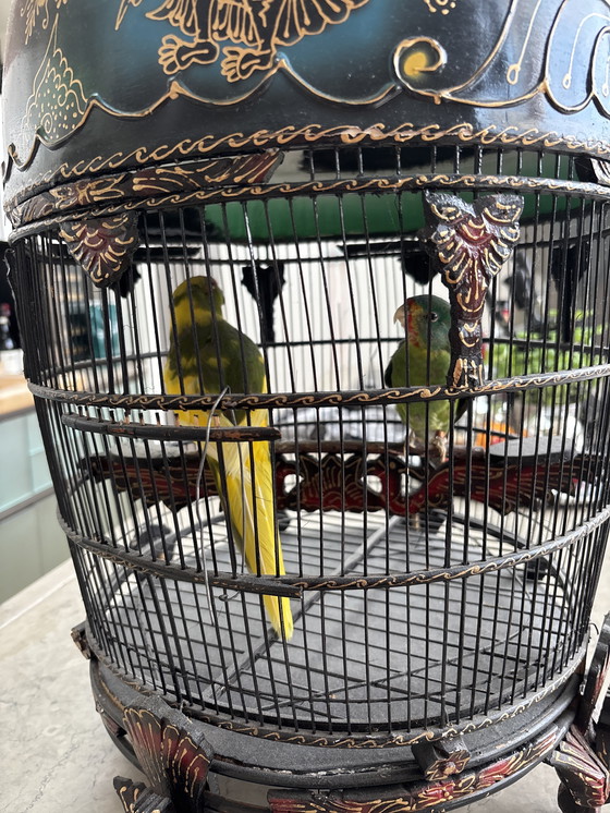 Image 1 of Handgeschilderde Indonesische Vogelkooi met opgezette vogels
