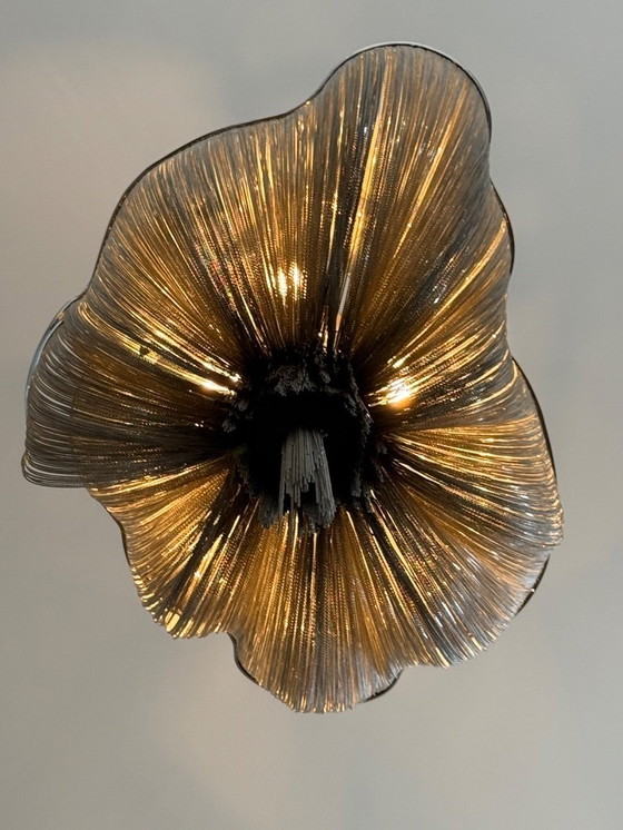 Image 1 of Lampadario grande Terzani Atlantis A15S