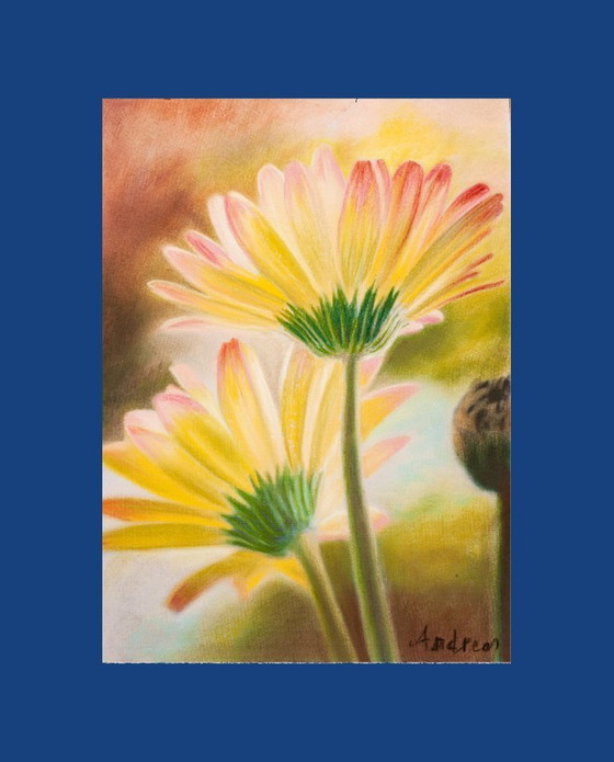Image 1 of Pastel daisies. Daisy painting. Flower drawing. Pastel flowers. Painted flowers. New.