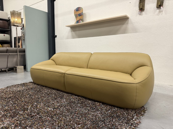 Image 1 of Divano Pode Nivti 3,5 posti Pelle Perla Salba 