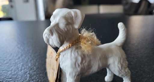 Figurina italiana Capodimonte Cesare Villari - Schnauzer / Terrier.