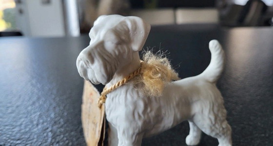 Image 1 of Italiaans capodimonte Cesare Villari Beeldje - Schnauzer / Terriër.