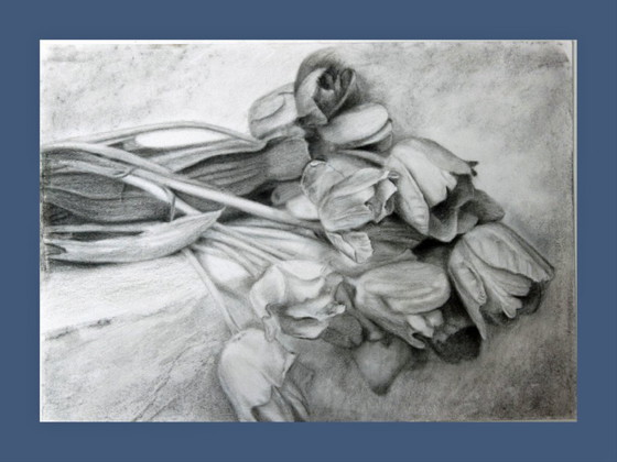 Image 1 of Charcoal drawing of tulips on paper. Tulip painting. Tulip drawing. Flower drawing. Flower painting. Signed.