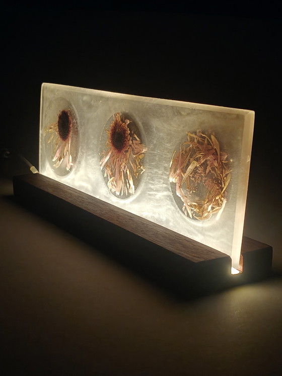 Image 1 of Floral Light I — The Quiet Season (Transition)