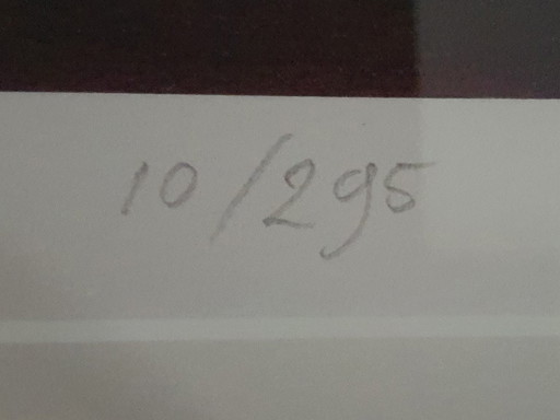 Giclée print van aquarel "Losing Feathers" van Renso Tamse