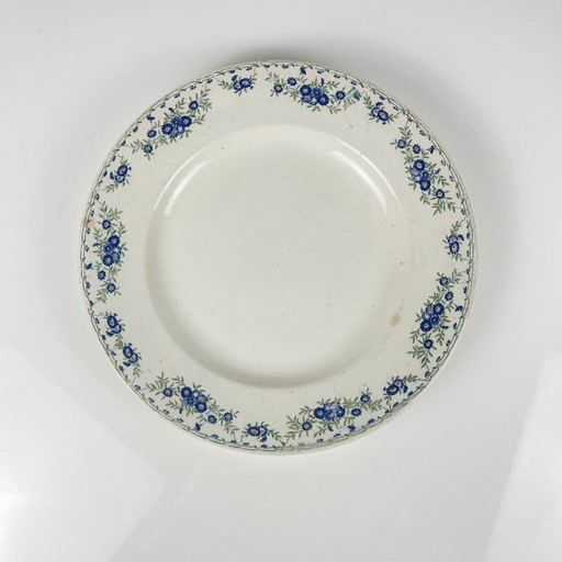 Plat rond "Marguerites", Sarreguemines, 1875 - 1920