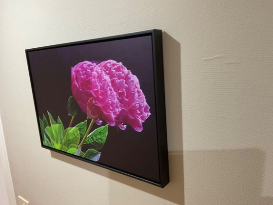 Image 1 of Photography Art on Aluminium 40x60 cm