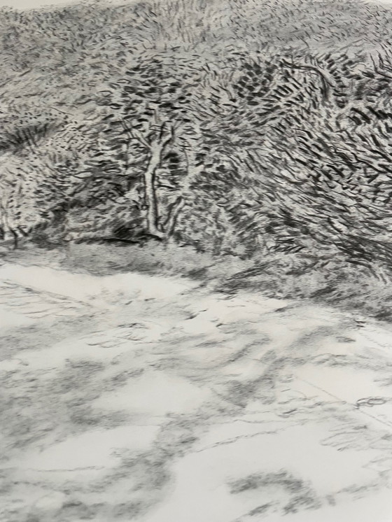 Image 1 of David Hockney, Woldgate, 6-7 May from The Arrival of Spring in 2013, Copyright David Hockney