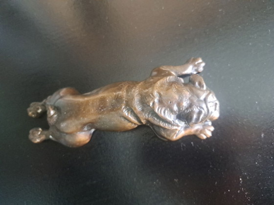Scultura Bulldog in Bronzo – Oggetti decorativi, Metallo (photo 3 of 5)