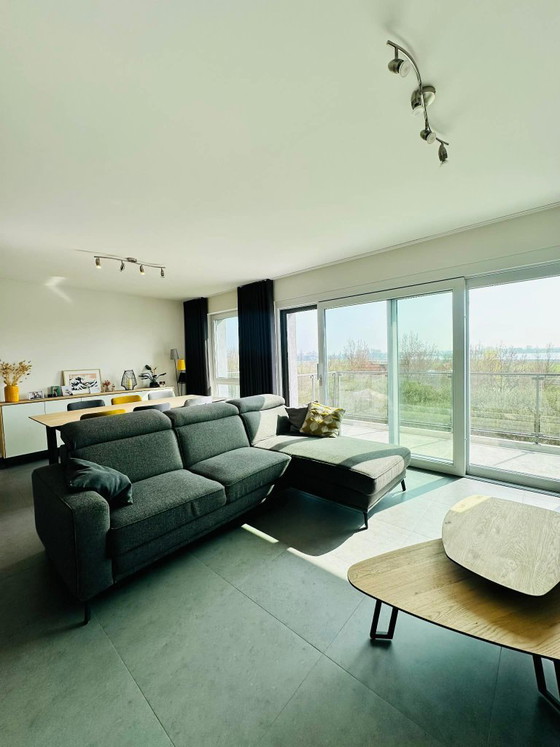 Image 1 of Ensemble XOOON Darwin : buffet, meuble TV, table et chaises, table basse, table à manger et fauteuil.