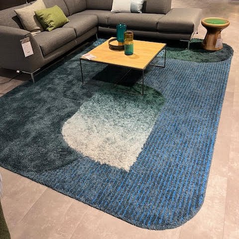 Image 1 of Leolux Portrait rug - 340x225