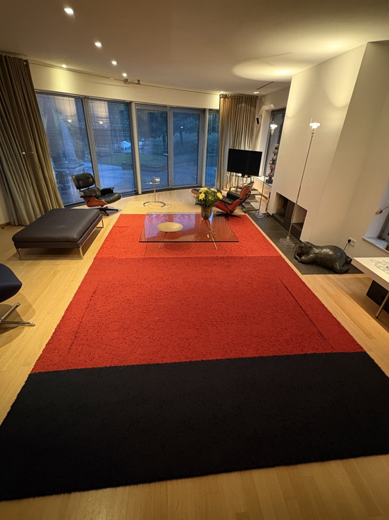Danskina Royale Hand-tufted Wool Rug 293x595 – Design Liset Van Der Scheer – Rugs & carpets (photo 2 of 5)