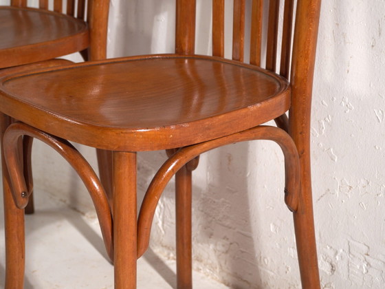 Set of 4 Antique chairs in Thonet style bentwood – Central Europe, circa 1930 #2 – Dining chairs (photo 19 of 40)
