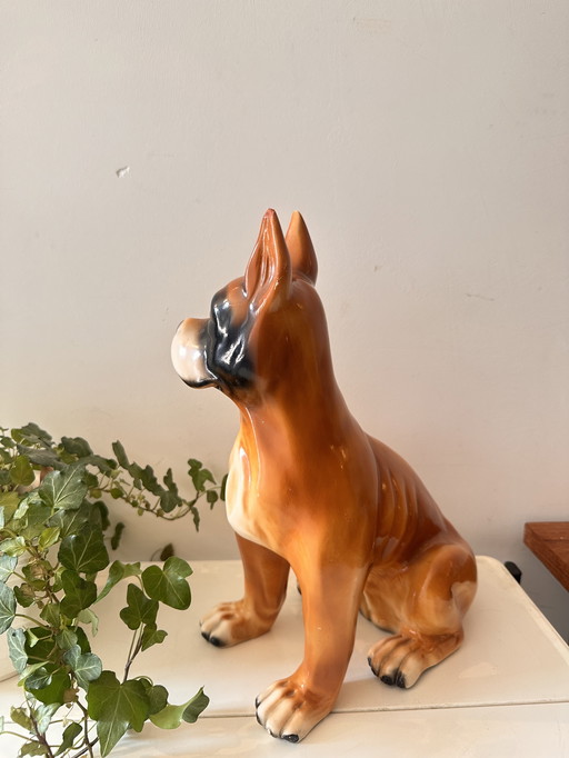 Mid - Century image boxer