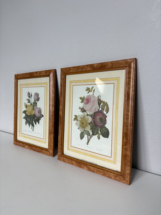 Image 1 of Coppia di stampe botaniche vintage Pierre-Joseph Redouté – Bernard Picture Co. (24x29 cm)
