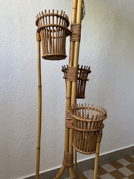 Image 1 of Lámpara de pie con soporte para plantas de ratán de los años 50