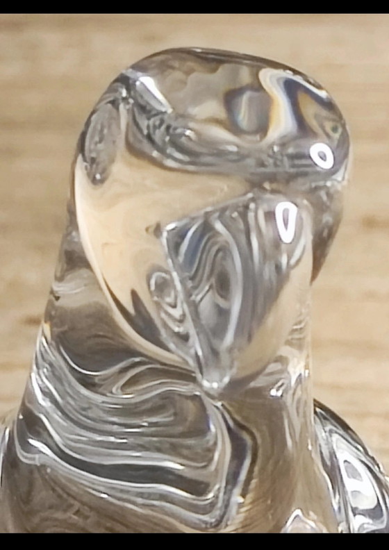 Image 1 of Perruche Baccarat