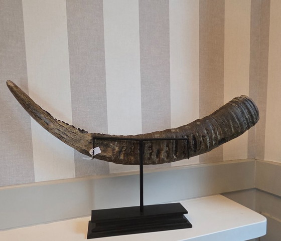 Image 1 of Large carved buffalo horn on a base (ref 4168)