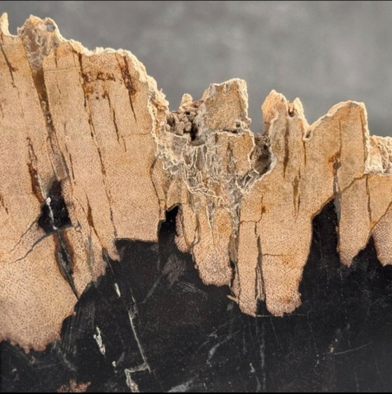 Image 1 of Madera fosilizada de Sooka, soporte hecho a medida (nuevo)