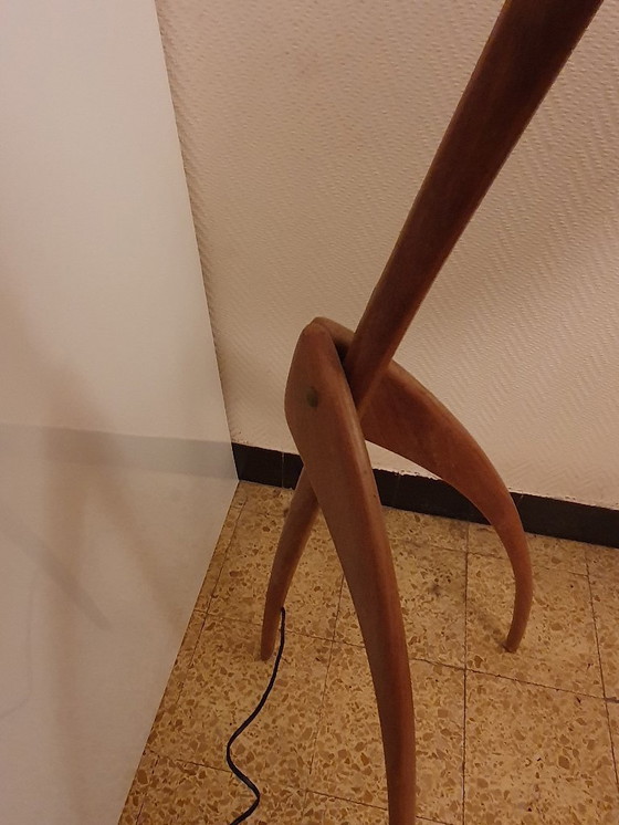 Image 1 of praying mantis