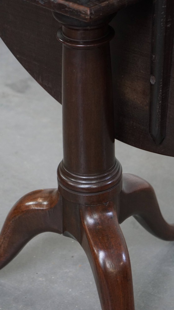 Image 1 of Antiker englischer Vogelkäfig mit drehbaren Beinen und kippbarer Tischplatte aus dem 18.