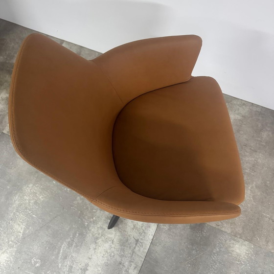 Image 1 of Maple 3.0  set van 4