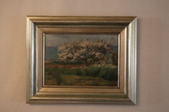 Dipinto di A. Cresti, Paesaggio con albero in fiore, Dipinti e disegni, Legno, Tela, Verde (foto 12 di 12)