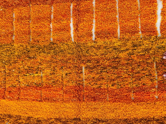 Tappeto tradizionale fatto a mano 250cm x 150cm Marocchino – Tappeti, Wool (photo 10 of 16)