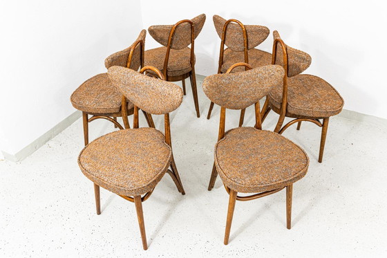 Image 1 of Satz von 6 Esszimmerstühlen Nr. 124 von H&J Kurmanowicz, Polen, 1950er Jahre