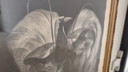Adriaan Johannes van 't Hoff - Paradijsvogel op Tak - Lithografie