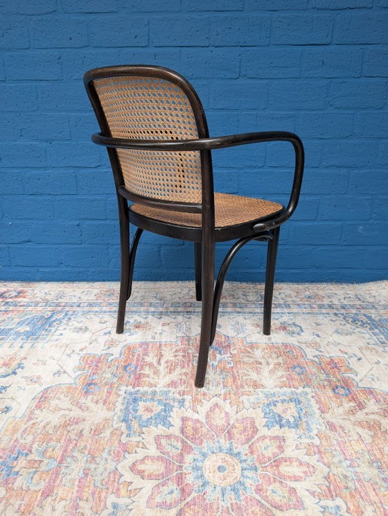 Image 1 of 4 chaises Prague 811 vintage, Josef Hoffmann, années 1960