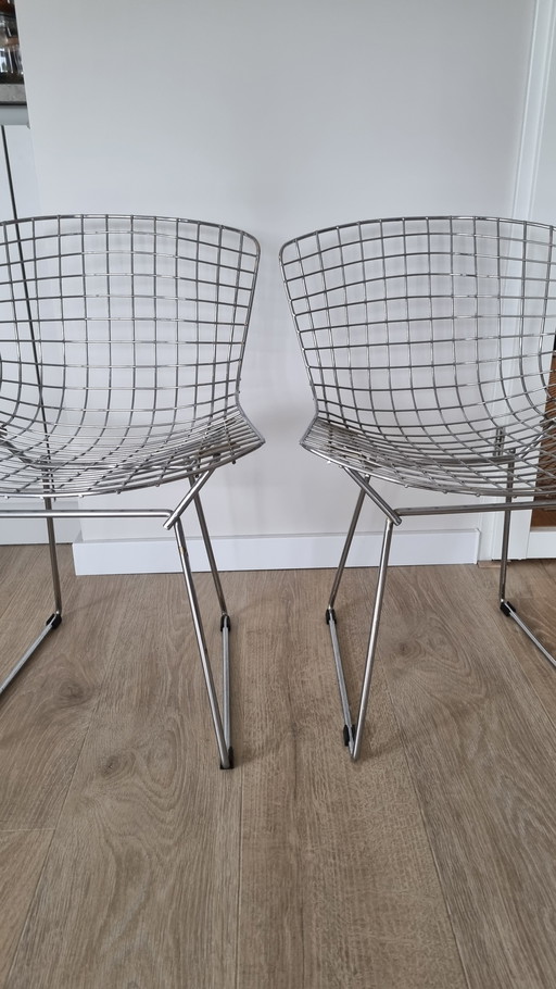 Vintage Bertoia chairs
