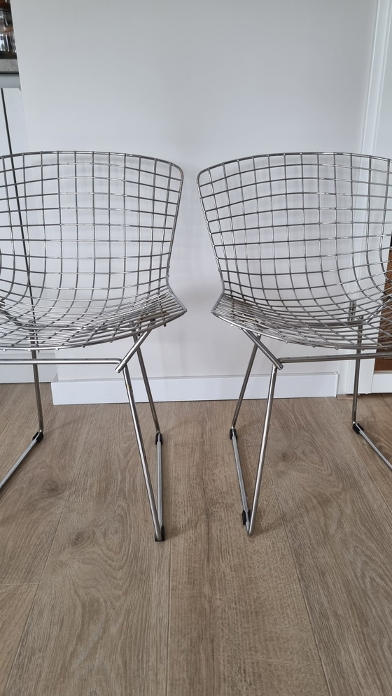 Image 1 of Sedie Bertoia d'epoca