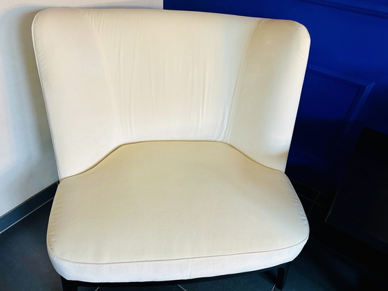 Image 1 of Flexform armchair XL DRAGONFLY by Roberto Lazzeroni