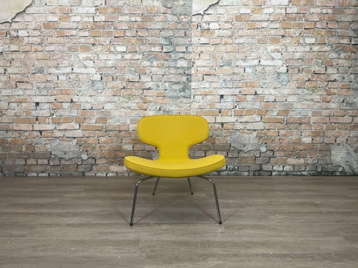 Artifort Libellula gialla