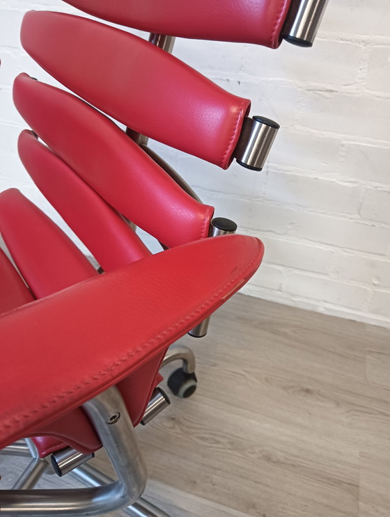 Image 1 of De Sede DS-2100 Skeleton