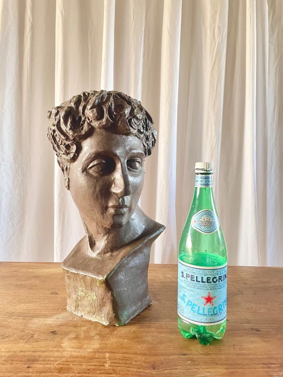 Image 1 of Terracotta bust with a bronze patina, inspired by antiquity, signed