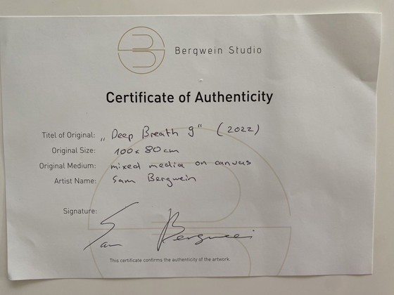 Image 1 of Originele Sam Bergwein
