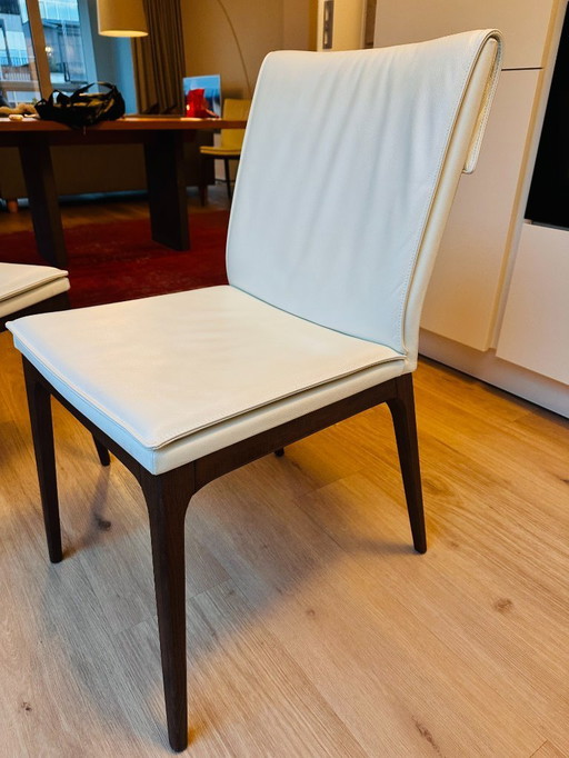 6x Cattelan Italia Leather Dining Chairs - Arcadia