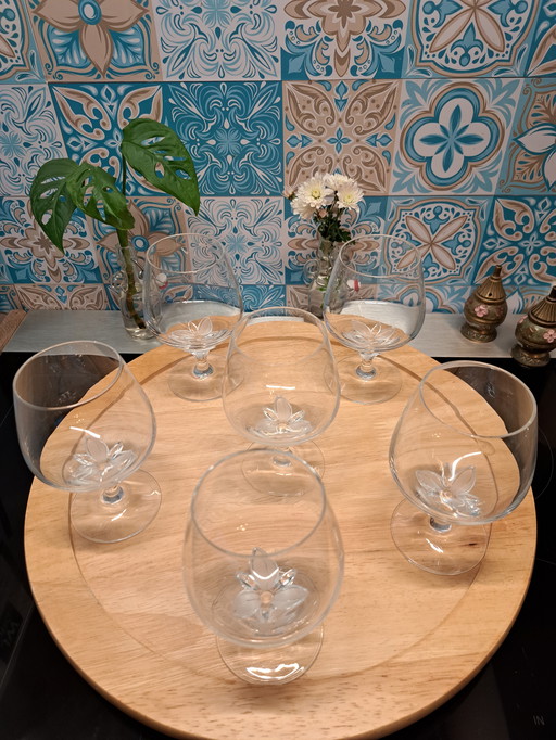 Schott Zwiesel La Fleur Servies Set