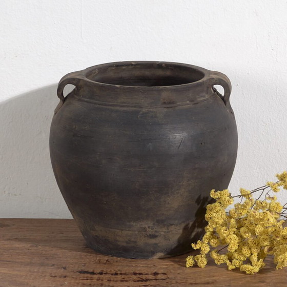 Vaso antico con manici (c.1900) #17 – Vasi (photo 7 of 40)