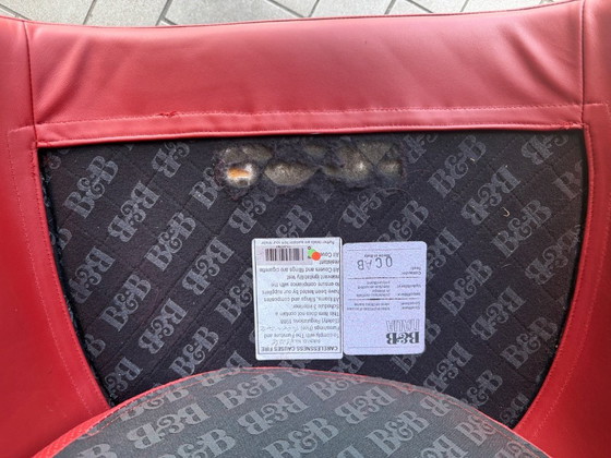 Image 1 of Chaises Tulipe de B&B Italia, années 1990, lot de 4