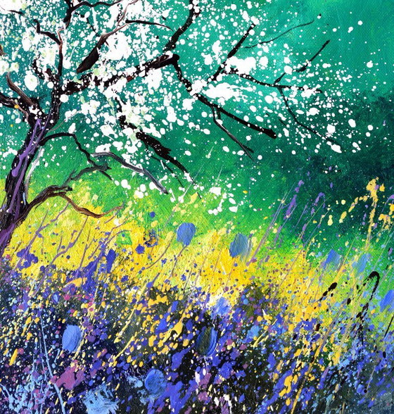 Image 1 of Melo in primavera