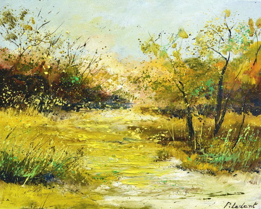 Marshes