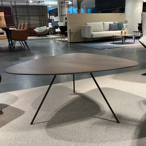 Leolux Liliom Couchtisch