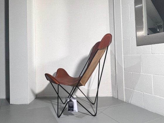 Image 1 of Cognac Papillon