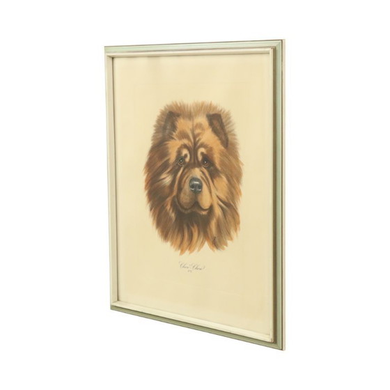 Image 1 of Vintage Kleuren Litho Hond Chow Chow