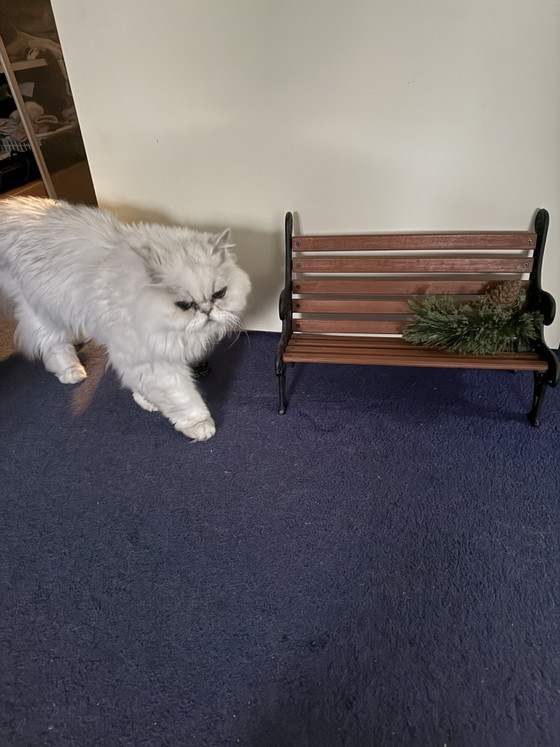 Image 1 of Charming decorative doll's bench