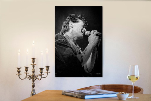 Herman Brood 1981 | Dibond with Plexiglas 4/25