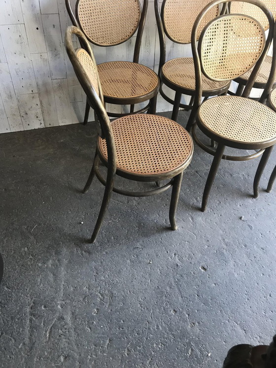Dining Chairs in Wood Cane, Germany, 1960s, Set of 6 – Mid Century Modern (photo 2 of 8)
